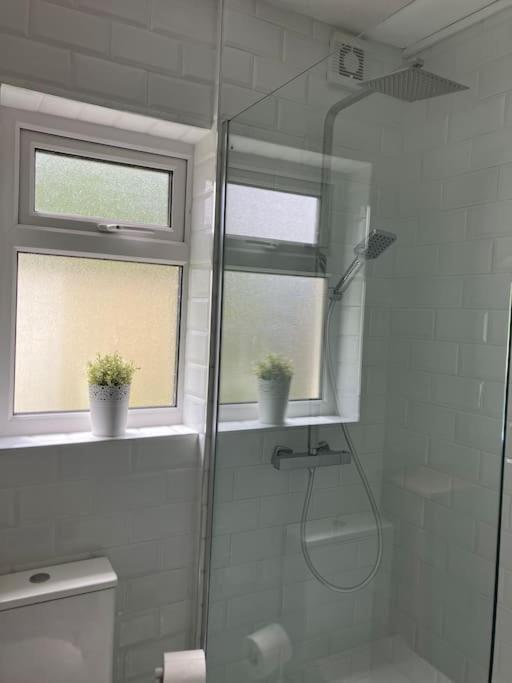 Whitethorn Cottage, Palmfield Ballaghaderreen エクステリア 写真