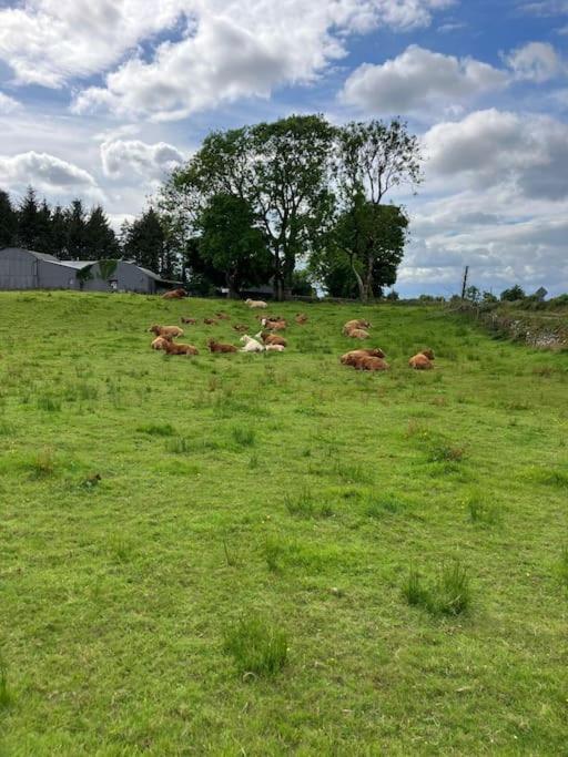 Whitethorn Cottage, Palmfield Ballaghaderreen エクステリア 写真